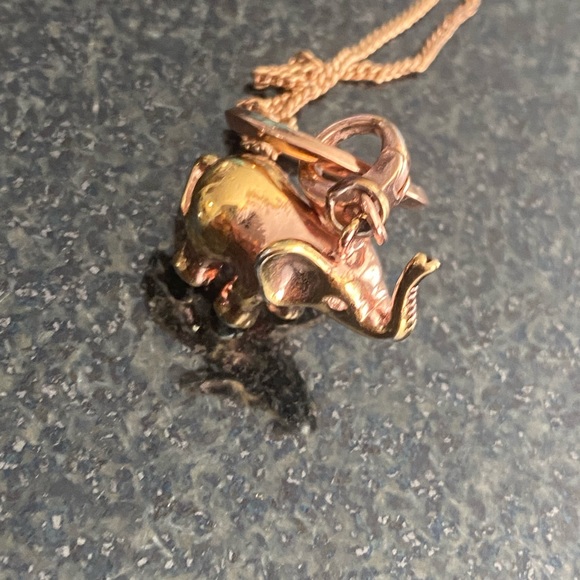 FOSSIL NECKLACE - Picture 9 of 9